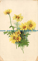 R162078 Old Postcard. Yellow Flowers. Tuck. 1961 - Monde