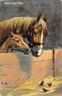 R162222 Mare And Foal. Horses. B. B. London - Altri & Non Classificati