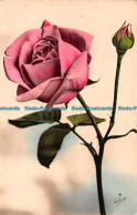 R162243 Old Postcard. Pink Rose. Cecami - World
