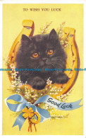 R162764 Greetings. To Wish You Luck. Good Luck. Black Kitten And Horseshoe. Vale - World