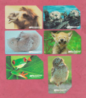Italy- Animali Per Modo Di Dire- Used Pre Paid Phone Cards- Telecom  By 5000 & 10000  Lire. Exp. 31.12.2000 & 30.06.2001 - Public Practical Advertising
