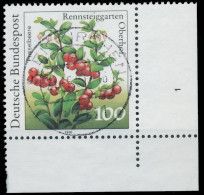 BRD BUND 1991 Nr 1508 Zentrisch Gestempelt FORMNUMMER 1 X575BCA - Used Stamps
