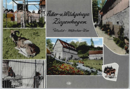 50406741 - Ziegenhagen , Kr Witzenhausen - Witzenhausen