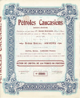 Titre De 1920 - Pétroles Caucasiens - Déco - - Pétrole