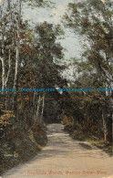 R162370 Kewstoke Woods. Weston Super Mare. Valentine. 1910 - Monde
