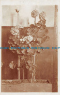 R163355 Old Postcard. Flowers - Monde