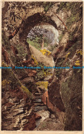 R163370 Lydford Gorge. Dartmoor - Monde