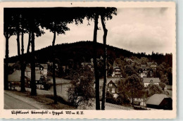 52188141 - Baerenfels - Altenberg