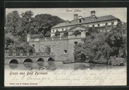AK Bad Pyrmont, Fürstl. Schloss Mit Wasser Und Ruderbooten  - Bad Pyrmont