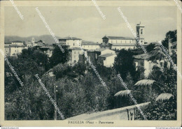 Bu310 Cartolina Fauglia Panorama Provincia Di Pisa Toscana - Pisa
