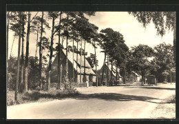 AK Markgrafenheide, Waldsiedlung  - Autres & Non Classés