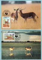 Carte Maximum Zambie 1987 - WWF - Antilopes - Cartes-maximum