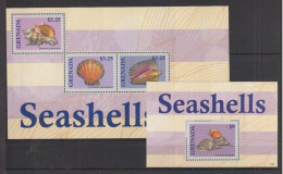 Grenada - 2013 - Shell - Yv 5543J/M + Bf 775D - Coquillages