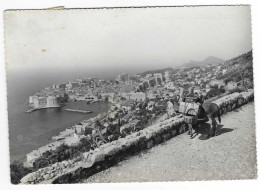 Dubrovnik - 1962 - Panorama S Bosanke - N°2108   # 2-24/22 - Kroatien