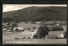 AK Friedenfels Im Steinwald, Blick Zum Gasthof Bärnhöhe  - Autres & Non Classés