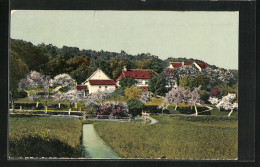 AK Bad Kissingen, Forsthaus Claushof  - Hunting