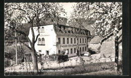 AK Schönau A. Main, Gaststätte-Cafè-Pension Zum Alten Forsthaus  - Jacht