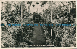 R162596 The Plant House. Wannock Gardens - Monde