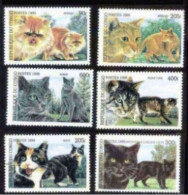222  Chats - Cats - Congo 1999 MNH - 2,50 . - Chats Domestiques