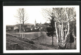 AK Novy Hradek / Neubürgles, Panorama  - Tchéquie