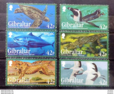 D7066.  Endangered Fauna - Fauna Menacé - Gibraltar 2013 - MNH - 2,35 - Other & Unclassified