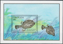 Grenada - 1990 - Fishes - Yv Bf 240 - Vissen