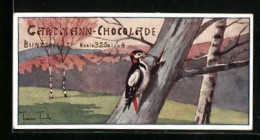Sammelbild Gartmann`s Chocolade, Baukünstler Der Tierwelt, Buntspecht  - Otros & Sin Clasificación