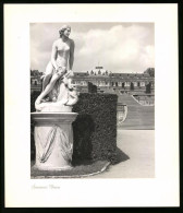 12 Fotografien E. Trepte, Ansicht Potsdam-Sanssouci, Römische Bäder, Venus, Chinesisches Teehaus, Neues Palais  - Lugares