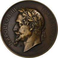 France, Médaille, Statue De Napoléon Ier Placée Sur La Colonne De La Grande - Other & Unclassified