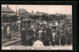 AK Contich, Terrible Accident De Chemin De Fer 1908, Vue Générale, Eisenbahnkatastrophe  - Trains