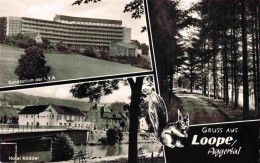73980157 Loope Sanatorium Der LVA Hotel Roedder Waldweg - Other & Unclassified