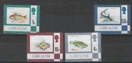 Gibraltar- 1977/81 - Fishes - Yv Xxxx - Fische