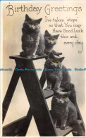 R163166 Birthday Greetings. Kittens. Valentine. RP - Monde