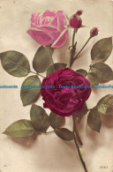 R163181 Old Postcard. Roses - Monde