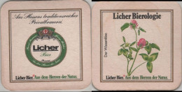 5005996 Bierdeckel Quadratisch - Licher - Sous-bocks