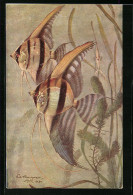 Künstler-AK Pterophyllum Scalare Cuv. & Val.  - Fische Und Schaltiere