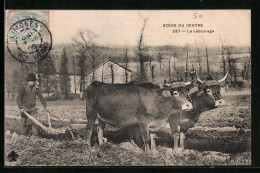AK Scène Du Centre, Le Labourage, Landwirtschaftliches Ochsengespann  - Cows