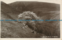 R163194 On The Slopes Of Skiddaw. Maysons Keswick. 1935 - Welt