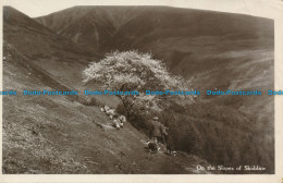 R163194 On The Slopes Of Skiddaw. Maysons Keswick. 1935 - Monde