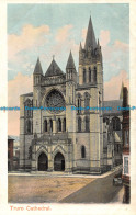 R163578 Truro Cathedral. Peacock. Autochrom - Monde