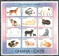 Ghana - 1994 - Cats - Yv 1595/02 - Hauskatzen