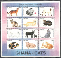 Ghana - 1994 - Cats - Yv 1595/02 - Chats Domestiques