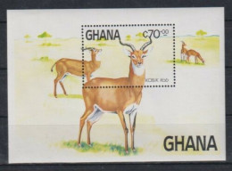 Ghana - 1984 - Antiloppes - Yv Bf 110 - Andere & Zonder Classificatie