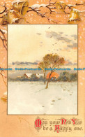 R162687 Greetings. May Your New Year Be A Happy One. Winter Scene - Monde