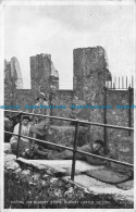 R163242 Kissing The Blarney Stone. Blarney Castle Co Cork. Valentine. Photo Brow - Monde