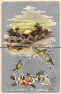 R163243 Greetings. Wishes For A Happy Christmas. Winter Scene. Davidson Bros. 19 - Monde
