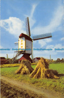 R163629 Dutch Windmill - Monde