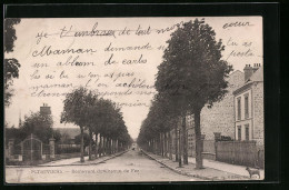 CPA Pithiviers, Boulevard Du Chemin De Fer  - Pithiviers