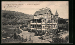 AK Sülzhayn /Harz, Sanatorium Waldaprk  - Autres & Non Classés