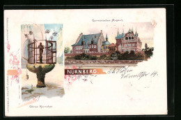Lithographie Nürnberg, Gänse-Männchen Und Germanisches-Museum  - Nuernberg